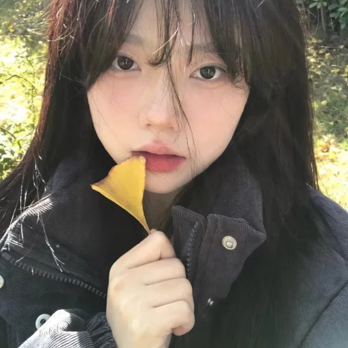外交风云